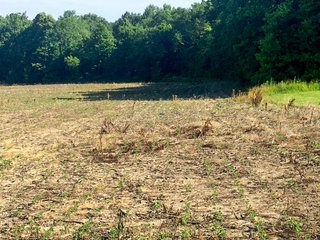 Whitley County, Indiana farmland - LAND AUCTION - 156+/- ACRES OFFERED IN 5 TRACTS IN WHITLEY COUNTY, INDIANA